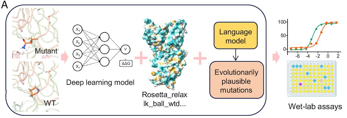 PNAS-8G3